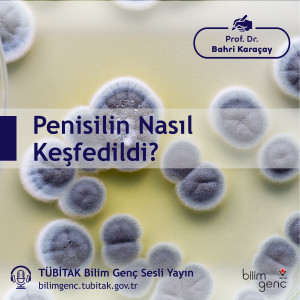 Penisilin Nasıl Keşfedildi?