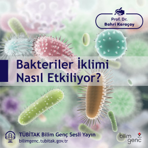 Bakteriler İklimi Nasıl Etkiliyor?