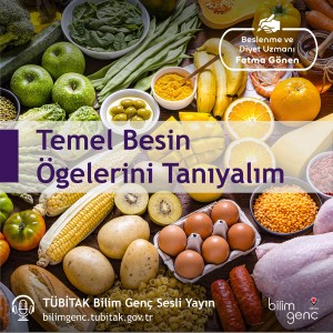 Temel Besin Ögelerini Tanıyalım