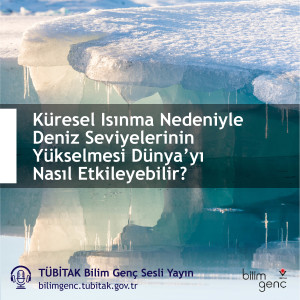 Küresel Isınma Nedeniyle Deniz Seviyelerinin Yükselmesi Dünya’yı Nasıl Etkileyebilir?