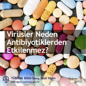 Aklıma Takıldı #3: Virüsler Neden Antibiyotiklerden Etkilenmez?