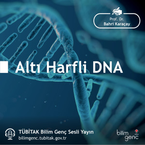 Altı Harfli DNA