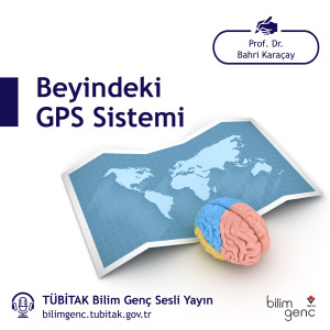 Beyindeki GPS Sistemi