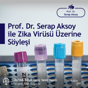 Prof. Dr. Serap Aksoy ile Zika Virüsü Üzerine Söyleşi