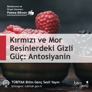 Kırmızı ve Mor Besinlerdeki Gizli Güç Antosiyanin