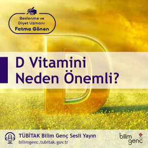 D Vitamini Neden Önemli?