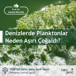 Denizlerde Planktonlar Neden Aşırı Çoğaldı?