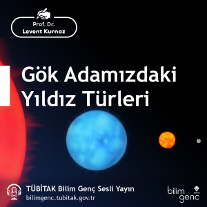 Gök Adamızdaki Yıldız Türleri