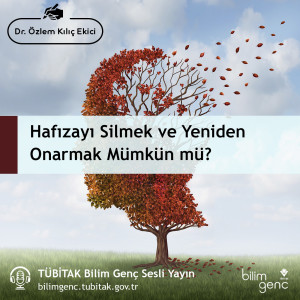 Hafızayı Silmek ve Yeniden Onarmak Mümkün mü?