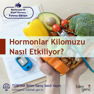 Hormonlar Kilomuzu Nasıl Etkiler?