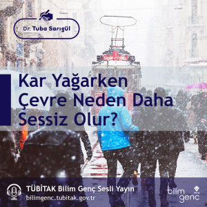 Aklıma Takıldı #9: Kar Yağarken Çevre Neden Daha Sessiz Olur?