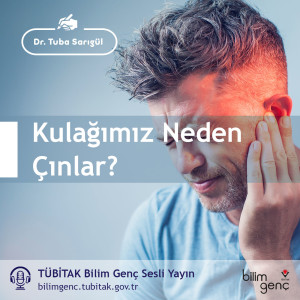 Aklıma Takıldı #15: Kulağımız Neden Çınlar?