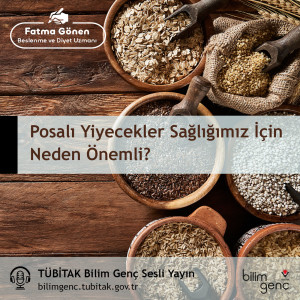 Posalı Yiyecekler Sağlığımız İçin Neden Önemli?