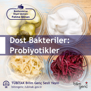 Dost Bakteriler: Probiyotikler