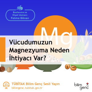 Vücudumuzun Magnezyuma Neden İhtiyacı Var?