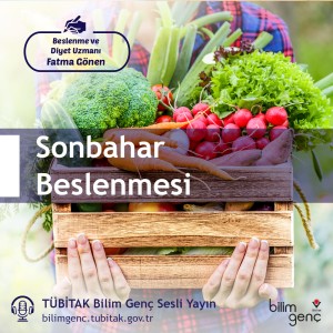 Sonbahar Beslenmesi