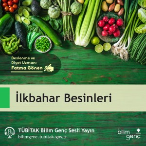 İlkbahar Besinleri