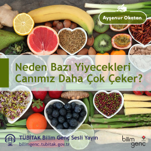 Neden Bazı Yiyecekleri Canımız Daha Çok Çeker?