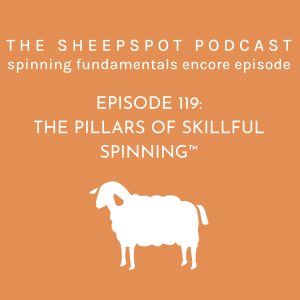 Episode 119: The Pillars of Skillful Spinning™