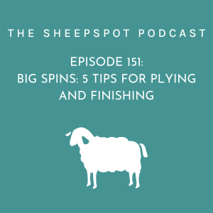 Episode 151 Big Spins: 5 Tips for Plying and Finishing