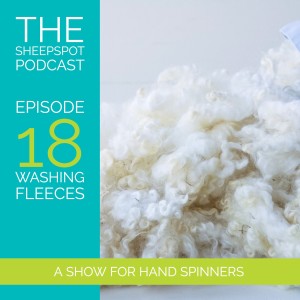 Episode 18: Washing Fleeces