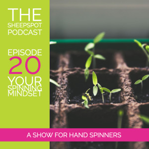 Episode 20: Your Spinning Mindset