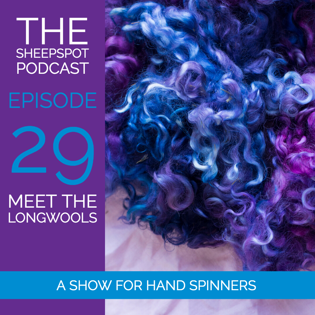 Episode 29: Meet the longwools - podcast episode cover