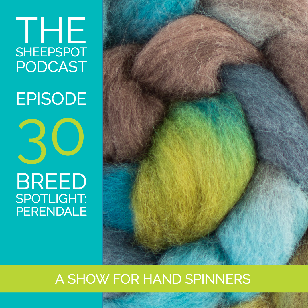 Episode 30: Breed Spotlight | Perendale - podcast episode cover