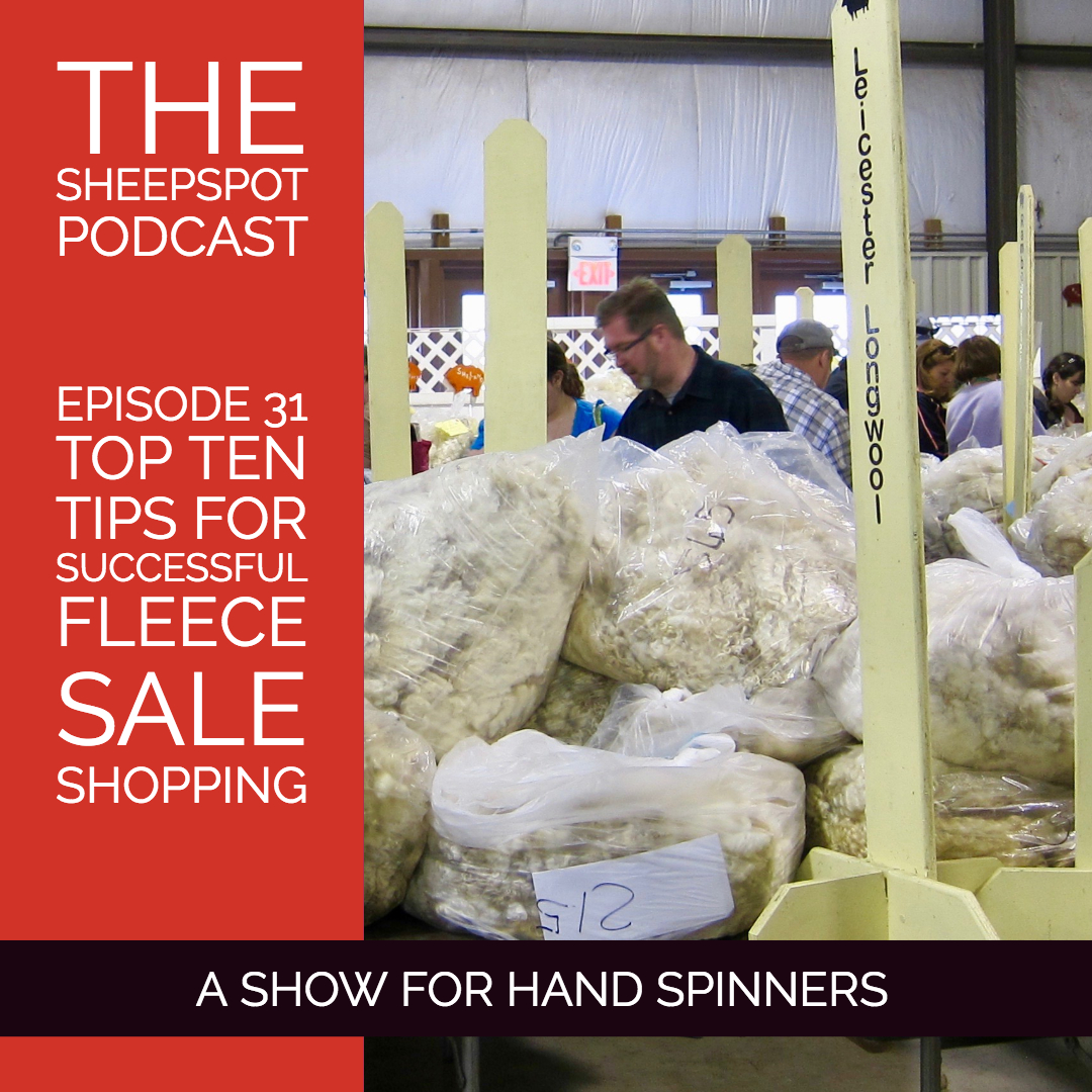 Episode 31: Top ten tips for successful fleece sale shopping - podcast episode cover