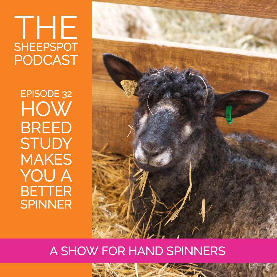 Episode 32: How breed study makes you a better spinner - podcast episode cover