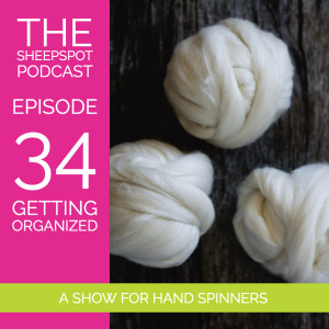 Episode 34: Getting Organized