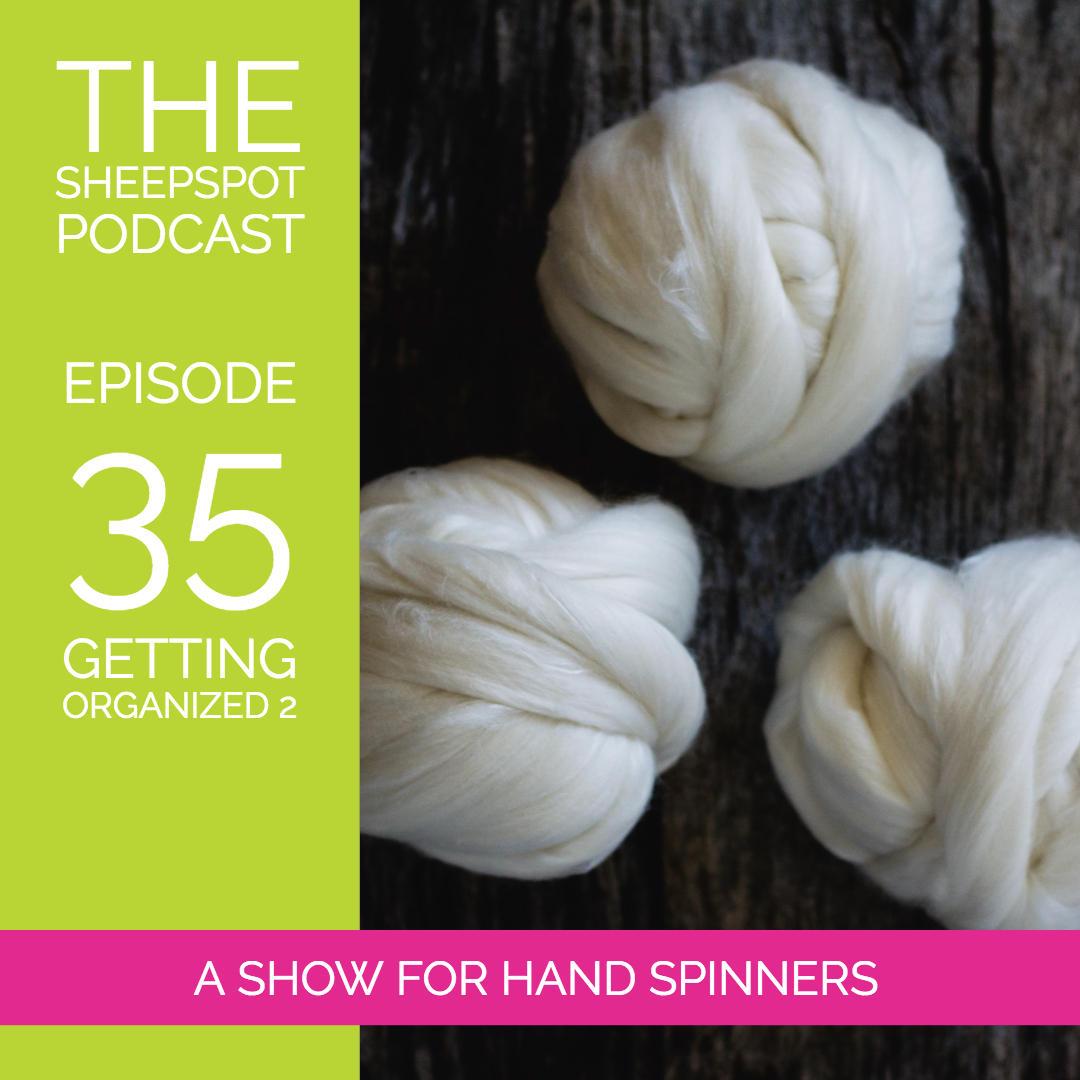 Episode 35: Getting Organized (2) - podcast episode cover