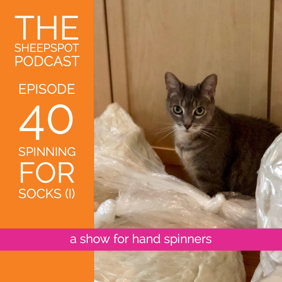 Episode 40: Spinning for Socks I (Preliminary Considerations) - podcast episode cover