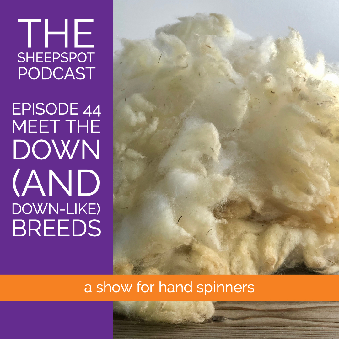 Episode 44: Meet the Down Breads - podcast episode cover