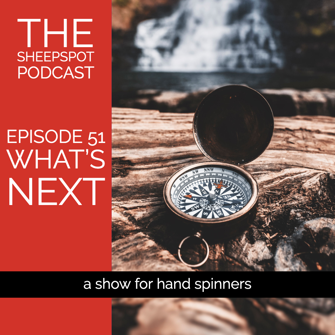 Episode 51: PlyAway and what's next - podcast episode cover