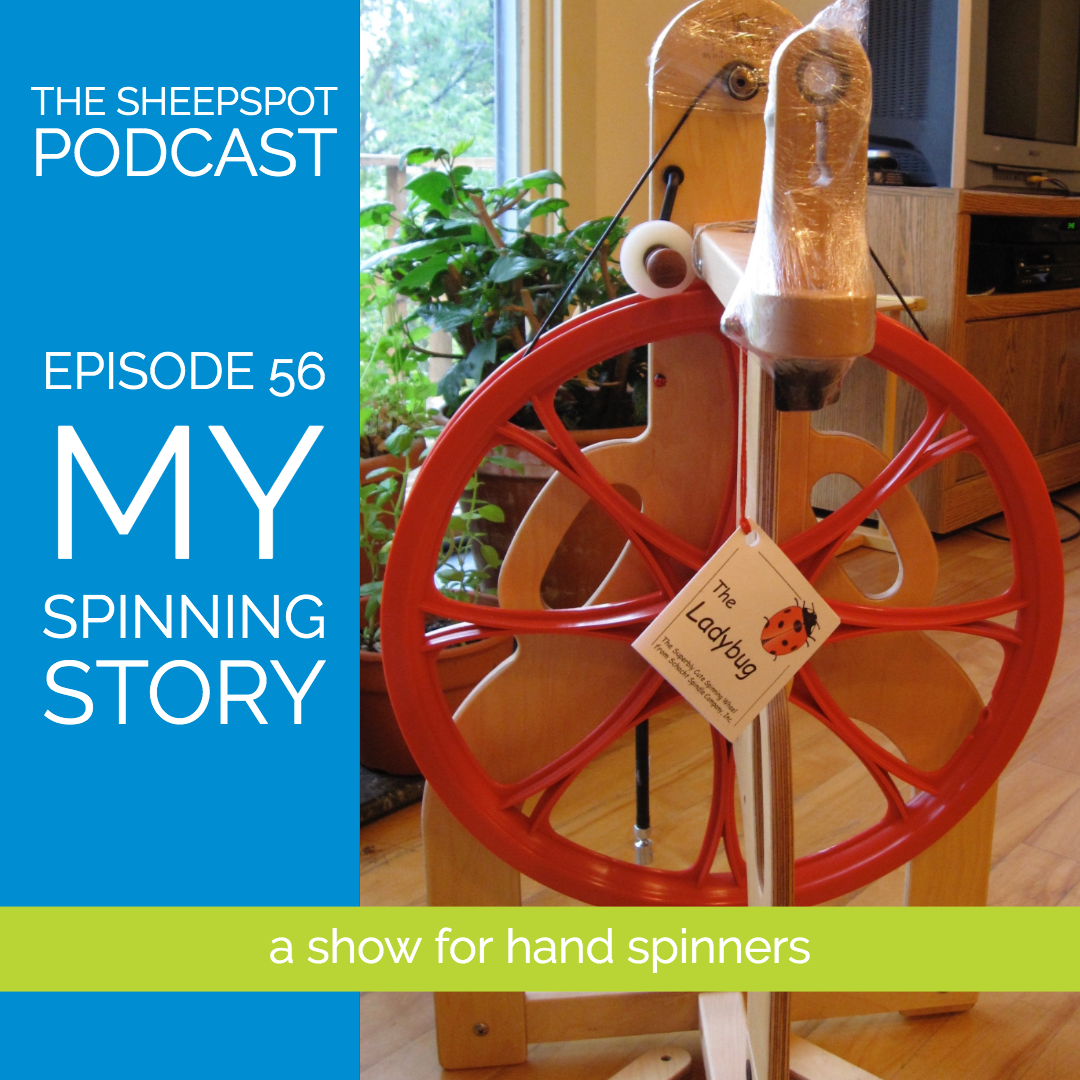 Episode 56: My Spinning Story - podcast episode cover