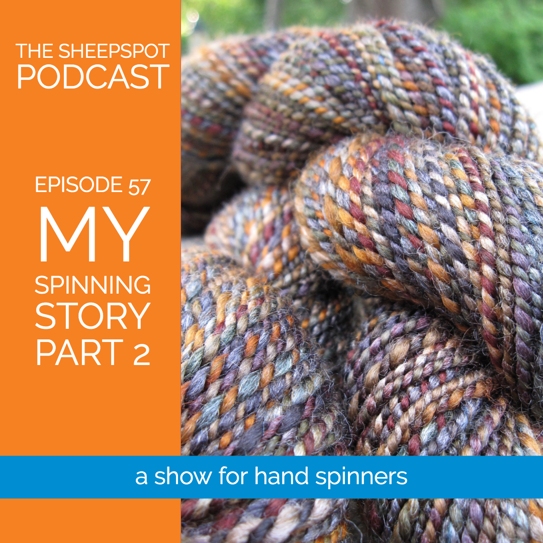 Episode 57: My Spinning Story, Part 2 - podcast episode cover