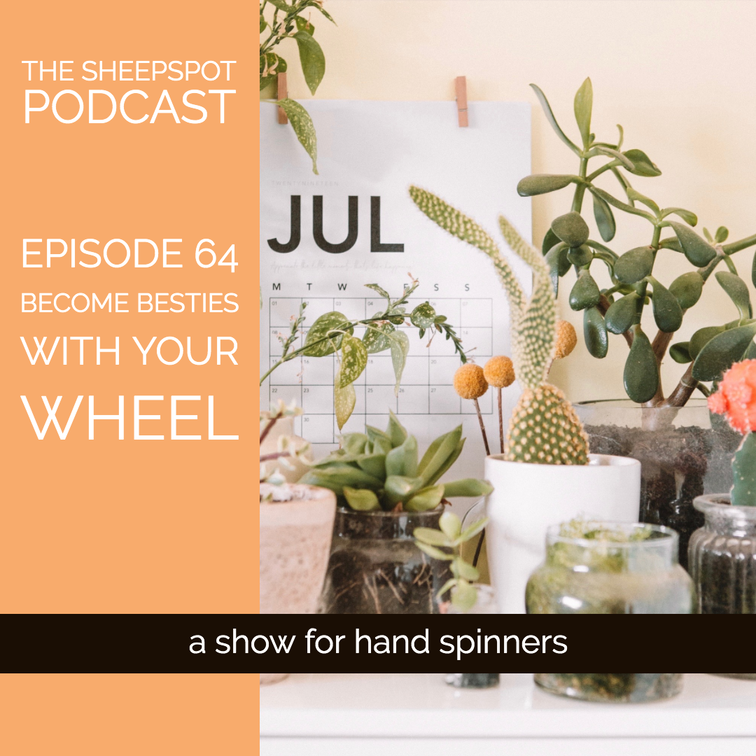 Episode 64: Become Besties with your Wheel - podcast episode cover