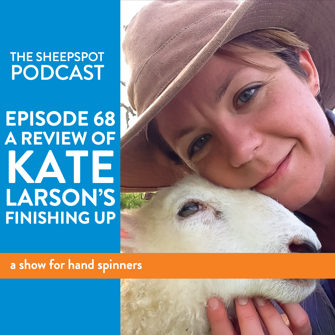 Episode 68: A Review of Kate Larson's Finishing Up - podcast episode cover