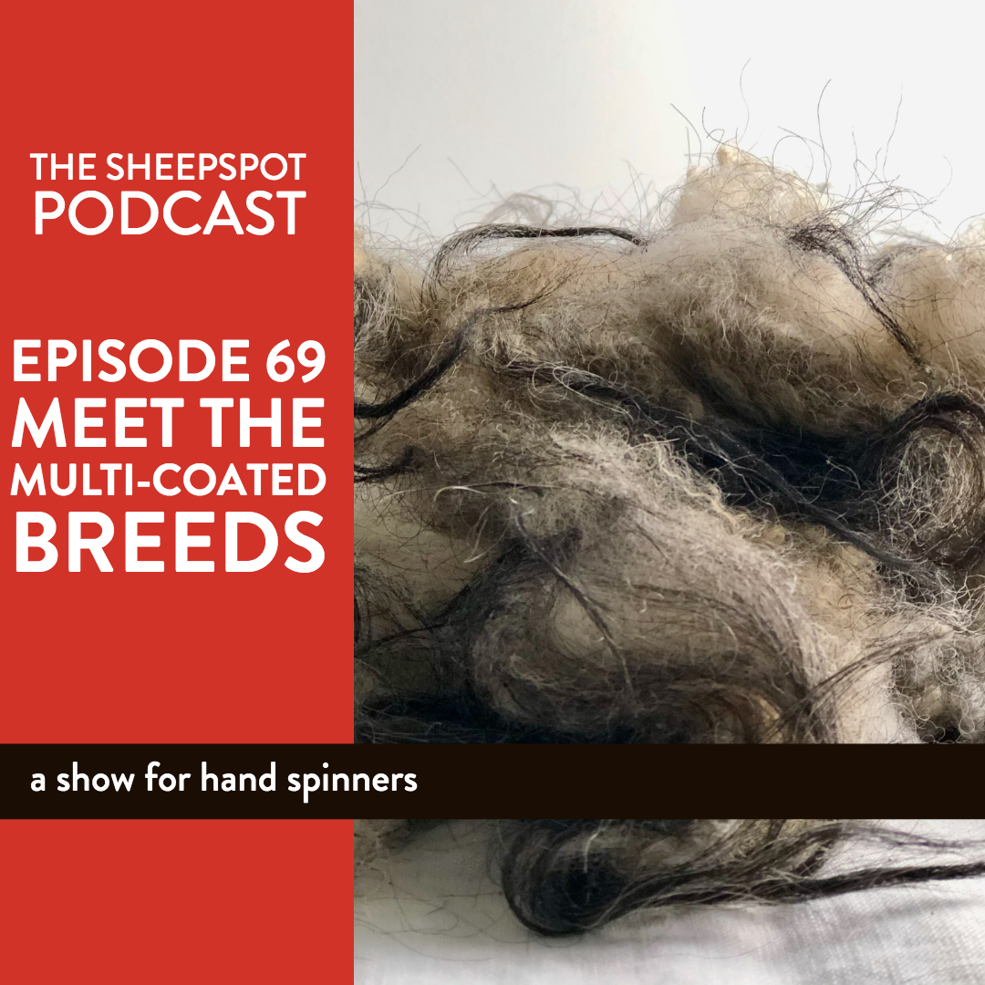 Episode 69: Meet the Multi-coated Breeds - podcast episode cover