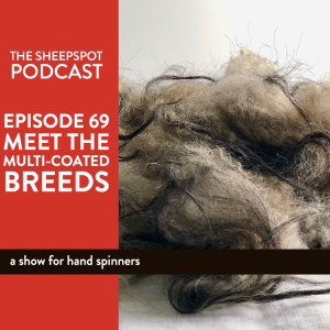 Episode 69: Meet the Multi-coated Breeds