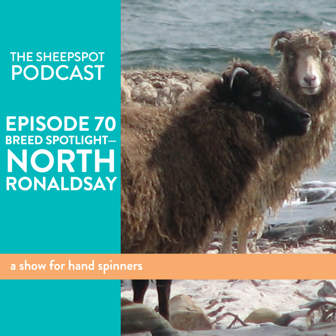 Episode 70: Breed Spotlight—North Ronaldsay - podcast episode cover