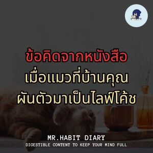 Mr Habit Diary 2023 EP8 ข้อคิดจากหนังสือ เมื่อแมวที่บ้านคุณผันตัวมาเป็นไลฟ์โค้ช