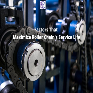 Factors That Maximize Roller Chains’ Service Life!