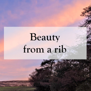 0010 - Beauty from a rib