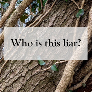 0011 - Who is this liar?