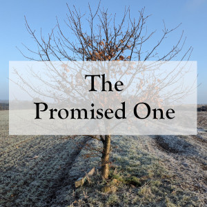 0013 - The Promised One