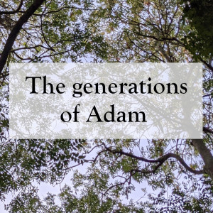 0019 - The generations of Adam