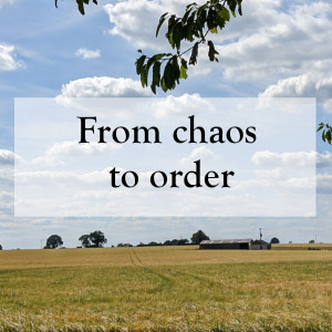 0002 - From chaos to order
