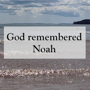 0025 - God remembered Noah
